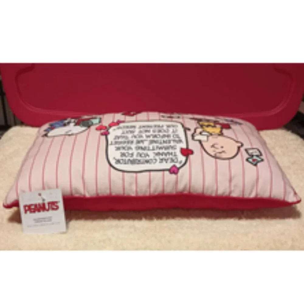 NWT ~ Peanuts Valentine's Snoopy & Charlie Brown Comic Decorative Throw Pillow